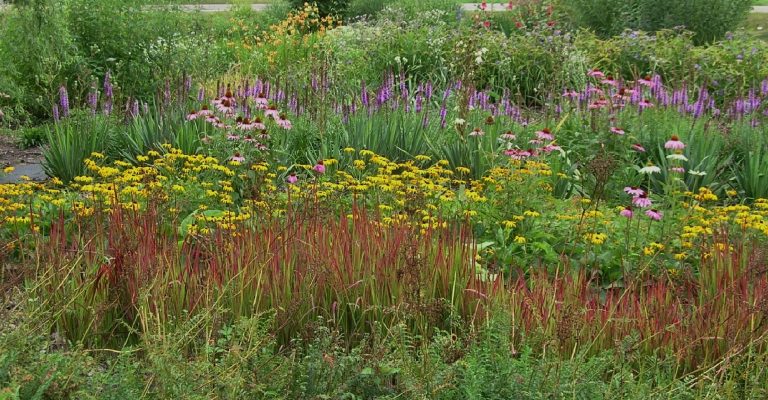 Prairie Garden - Heritage Flower Farm